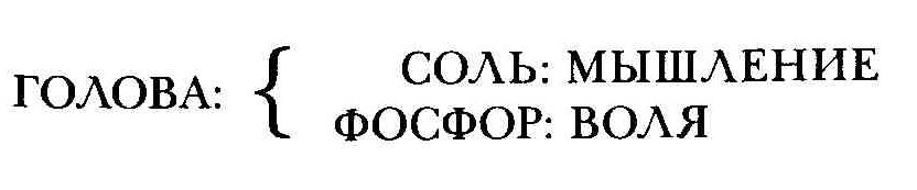 голова