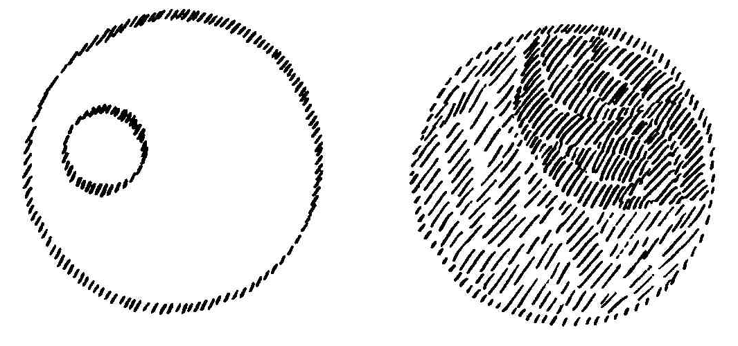 16 16