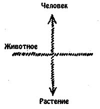 8 8