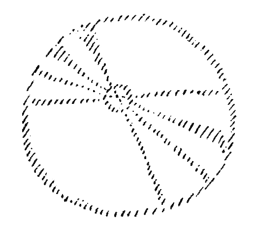 43