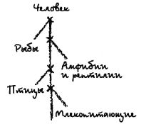 Названия знаков зодиака 2 Названия знаков зодиака 2