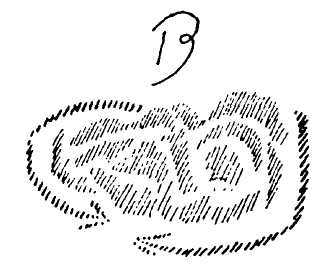 30 30
