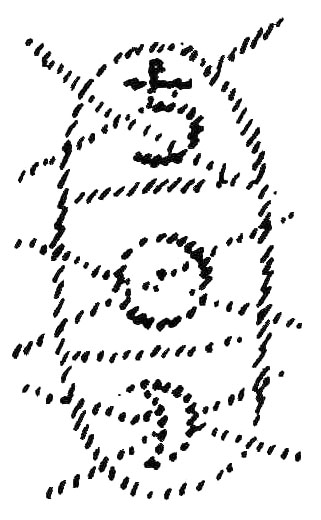 36 36