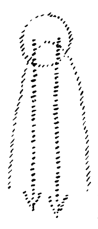 8 8