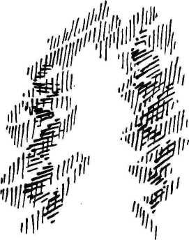 46 46