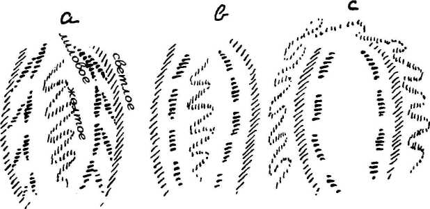 7 7