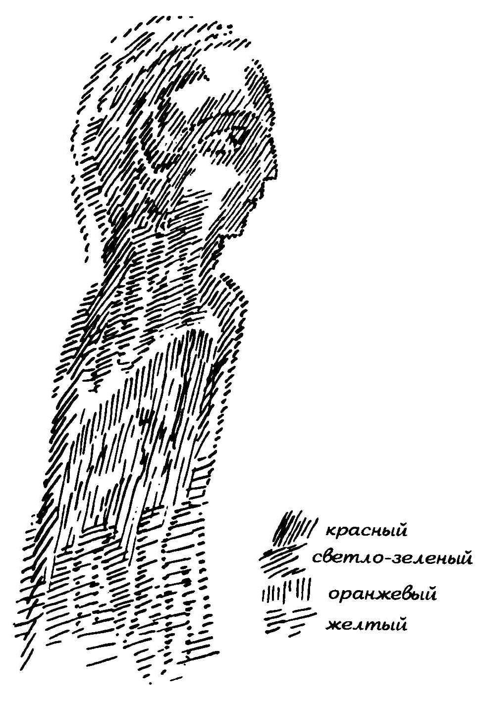 19 19