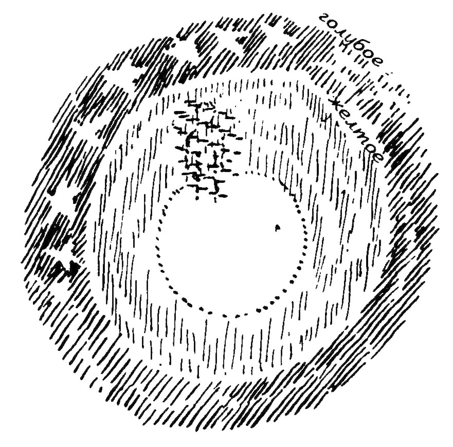 7 7