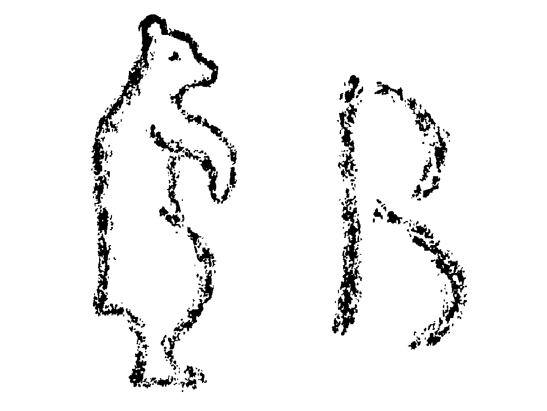 6 6