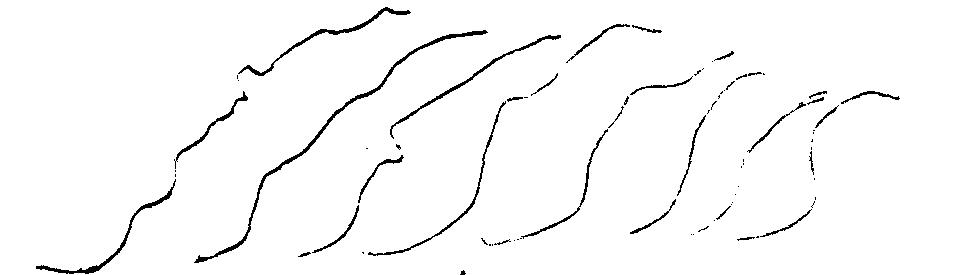 5 5