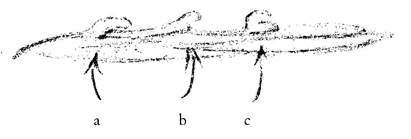 52