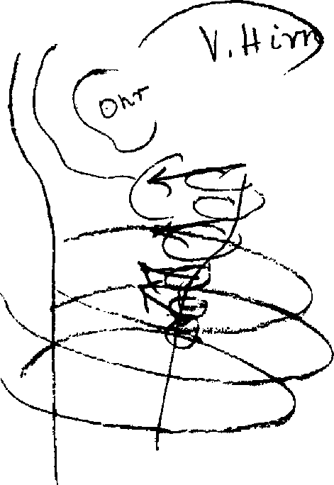 6 6