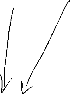 2-1 2-1