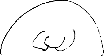 2-2 2-2