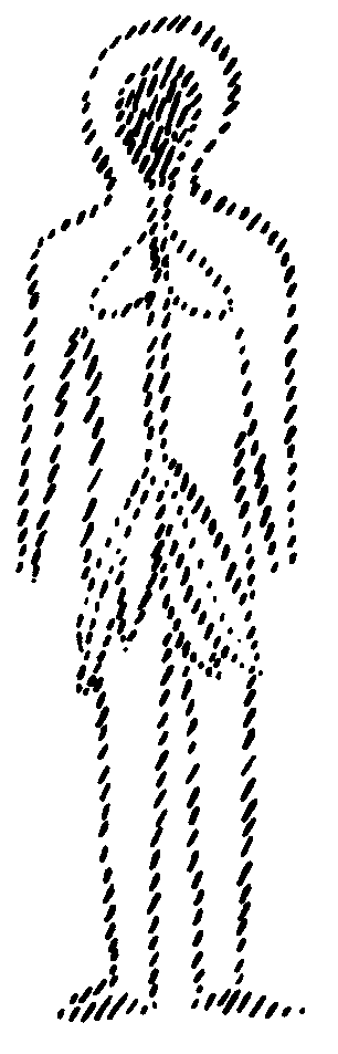 41
