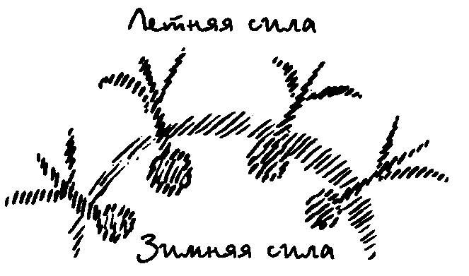 42